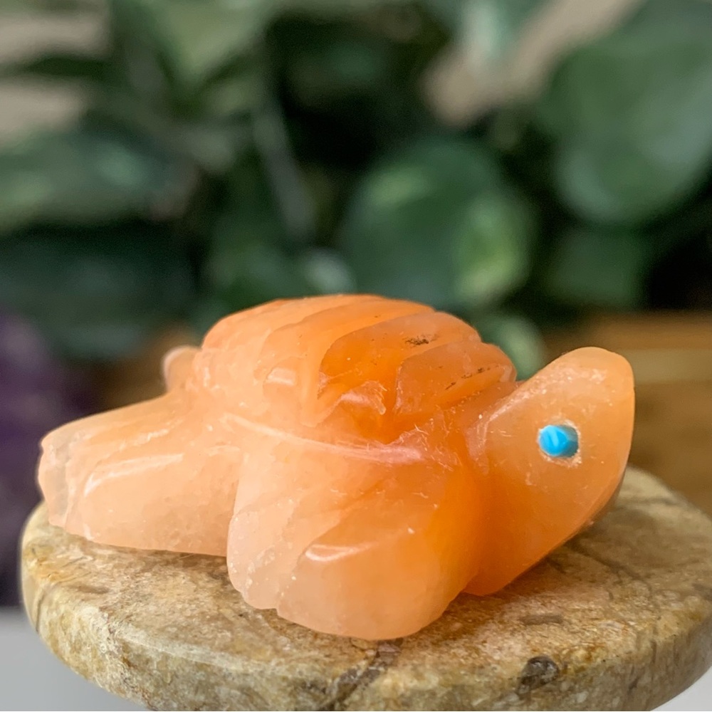 Zuni Fetish Hand Carved Orange Alabaster Turtle Turquoise Eyes VTG Signed READ*